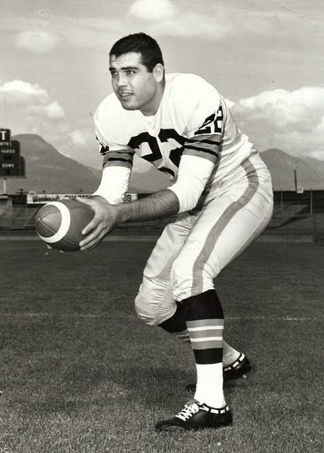 Joe Kapp